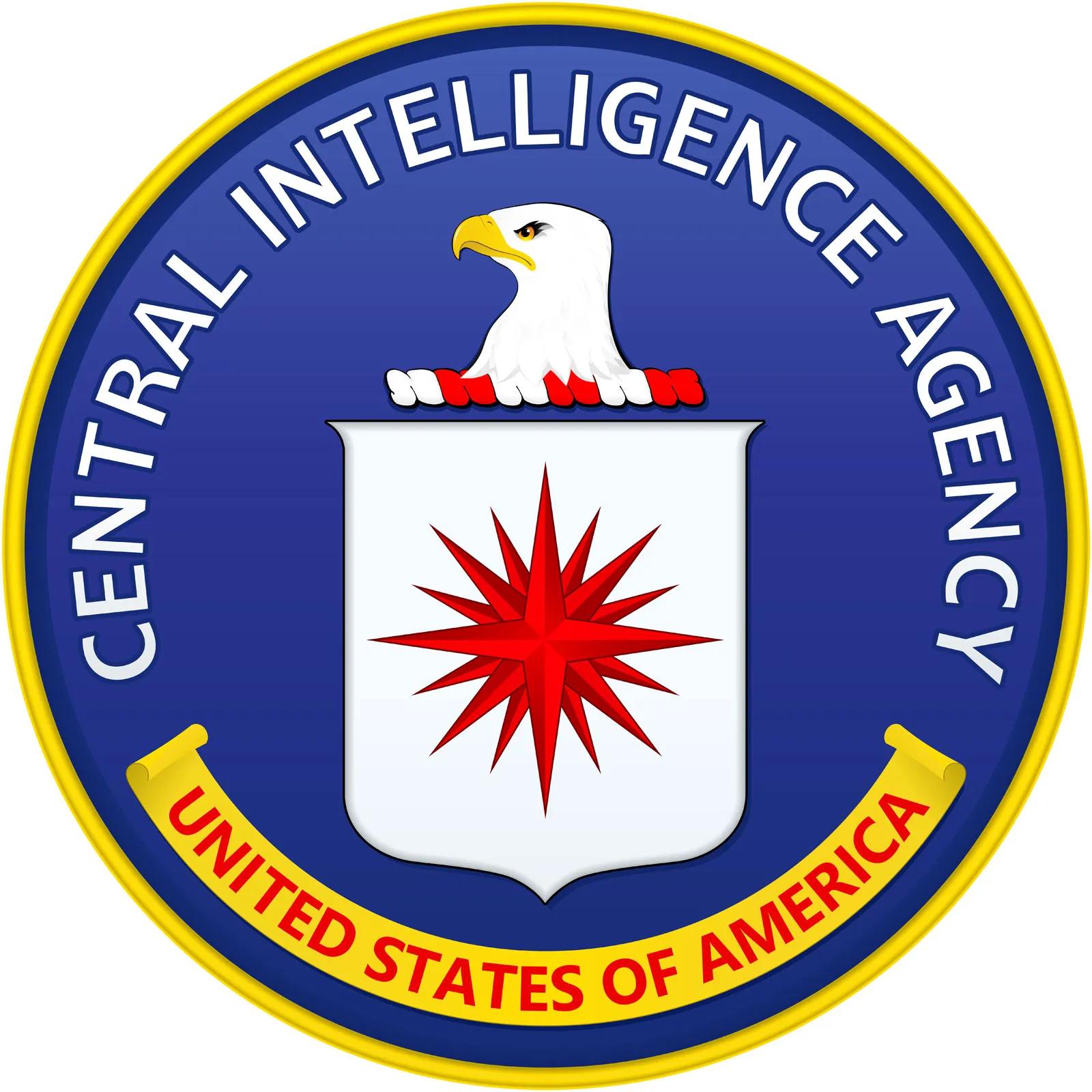 agencia federal de inteligencia security and intelligence agency - Is CIA government owned