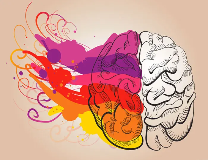 el dominio de nuestras emociones corresponde a inteligenta - La inteligencia emocional es innata o aprendida