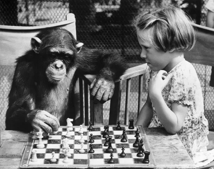 La Inteligencia Adquirida o Exógena - La inteligencia es adquirida o innata inteligencia adquirida o exogeno - La inteligencia es adquirida o innata