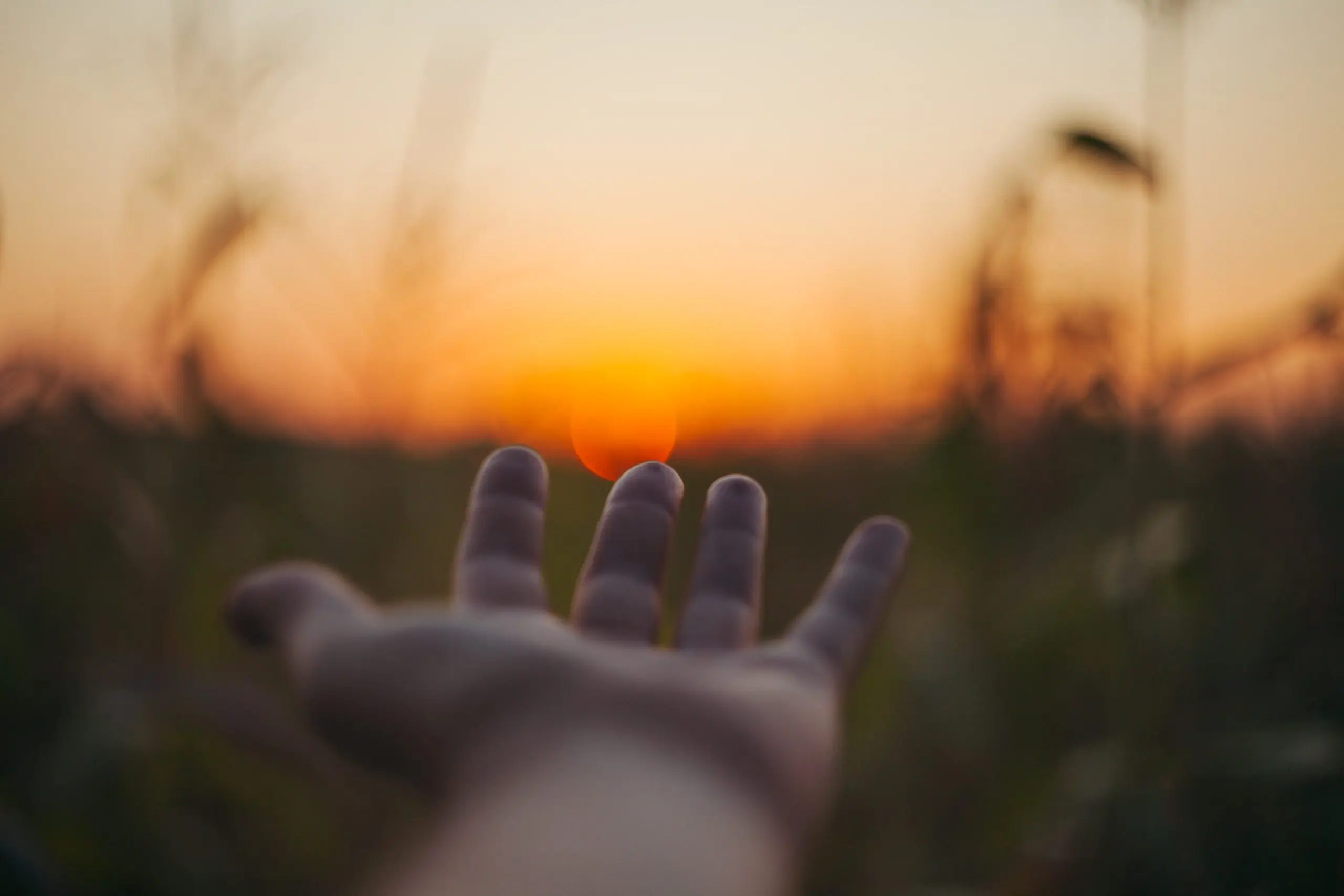 Narcisistas codependientes e inteligencia emocional - Los codependientes tienen rasgos narcisistas narcisistas codependientes e inteligencia emocional - Los codependientes tienen rasgos narcisistas