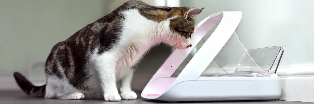Comedero inteligente Surefeed: la solución perfecta para alimentar a tus mascotas - Merecen la pena los comederos para gatos con microchip comedero inteligente surefeed - Merecen la pena los comederos para gatos con microchip