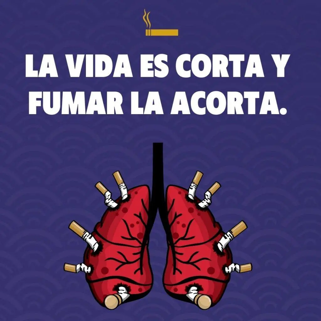 Frases inteligentes sobre las razones para no fumar - Por qué debo dejar de fumar frases inteligentes sobre las razones para no fumar - Por qué debo dejar de fumar
