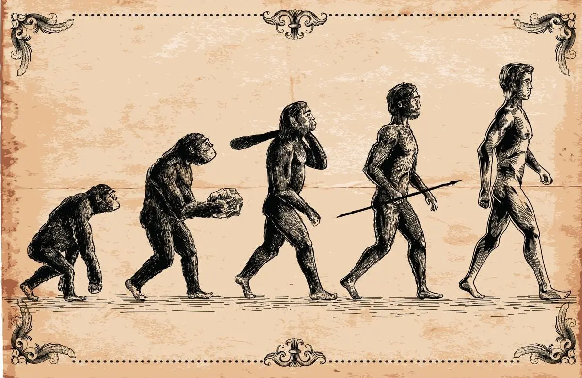 Capacidad de inteligencia de los homínidos: una evolución acelerada - Por qué el cerebro humano tuvo una evolución más eficiente capacidad de inteligencia de los hominidos - Por qué el cerebro humano tuvo una evolución más eficiente