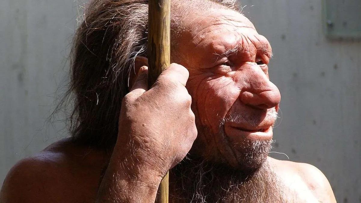 los neandertales eran mas inteligentes - Por qué los cerebros de los neandertales eran más grandes