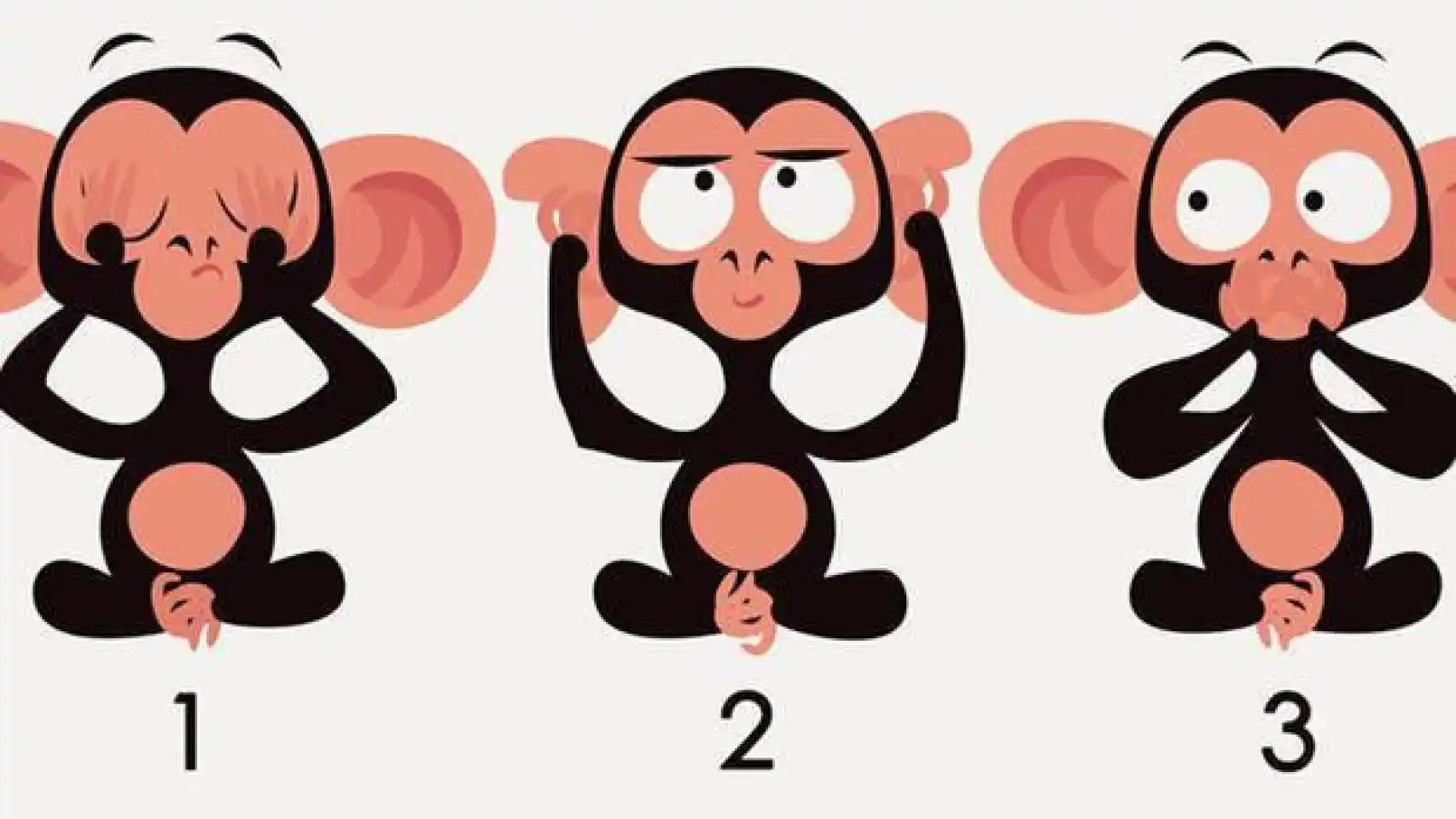 test de inteligencia para monos - Puedes realizar pruebas en monos
