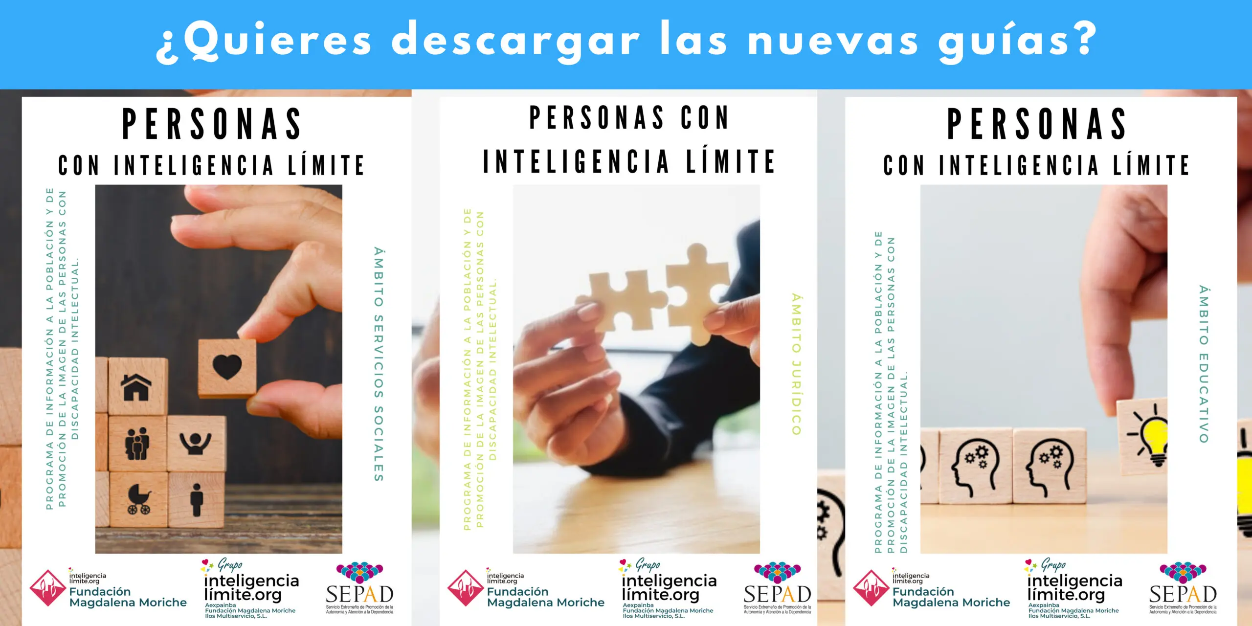 recomendaciones para niños con inteligencia limite dialnet - Qué actividades se utilizan para estimular a los niños con discapacidad intelectual