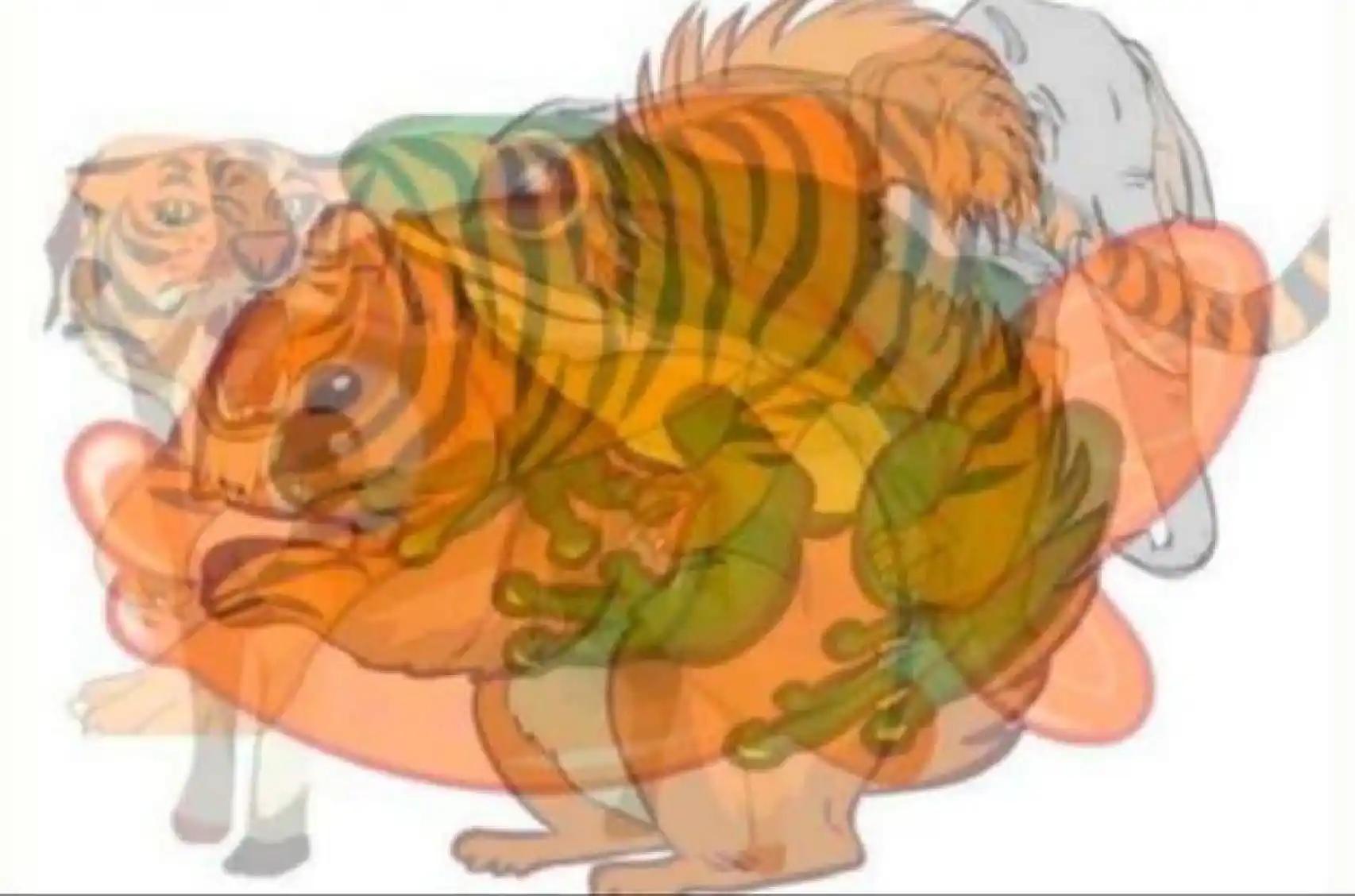 animal con el que se identifica persona calmada e inteligente - Qué animal representa la tranquilidad