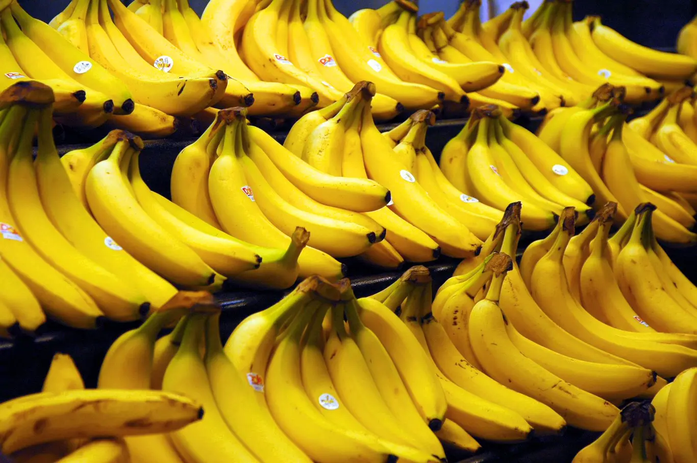 Inteligencia por el plátano: Beneficios y propiedades - Qué aporta el plátano al cerebro inteligencia por el platano - Qué aporta el plátano al cerebro