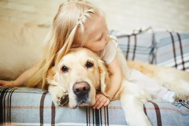 inteligencia animales vs niños - Qué aprenden los niños con los animales