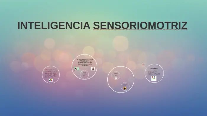 la inteligencia sensoriomotora - Qué aprenden los niños en la etapa sensoriomotora