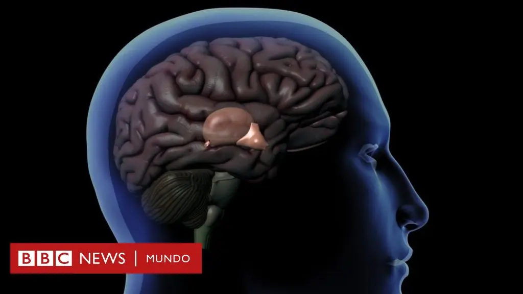activando la glandula pineal aumenta la inteligencia - Qué bloquea la glándula pineal