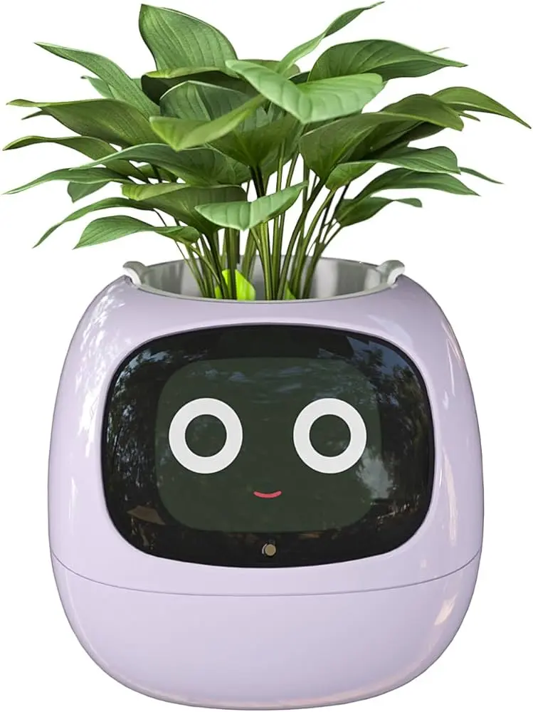 Maceteros inteligentes: la revolución en la jardinería - Qué clase de maceteros hay maceteros inteligentes - Qué clase de maceteros hay