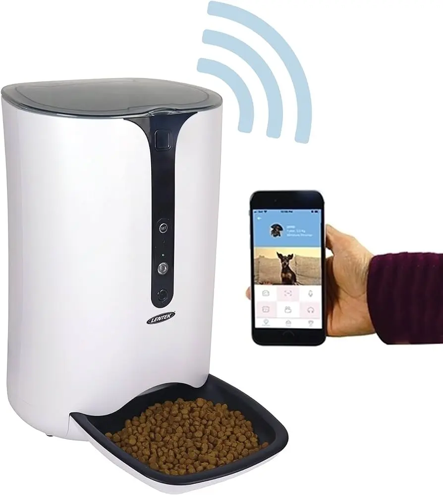 Comida inteligente para perros: una alimentación saludable y equilibrada - Qué comida es más saludable para los perros comida inteligente perros - Qué comida es más saludable para los perros