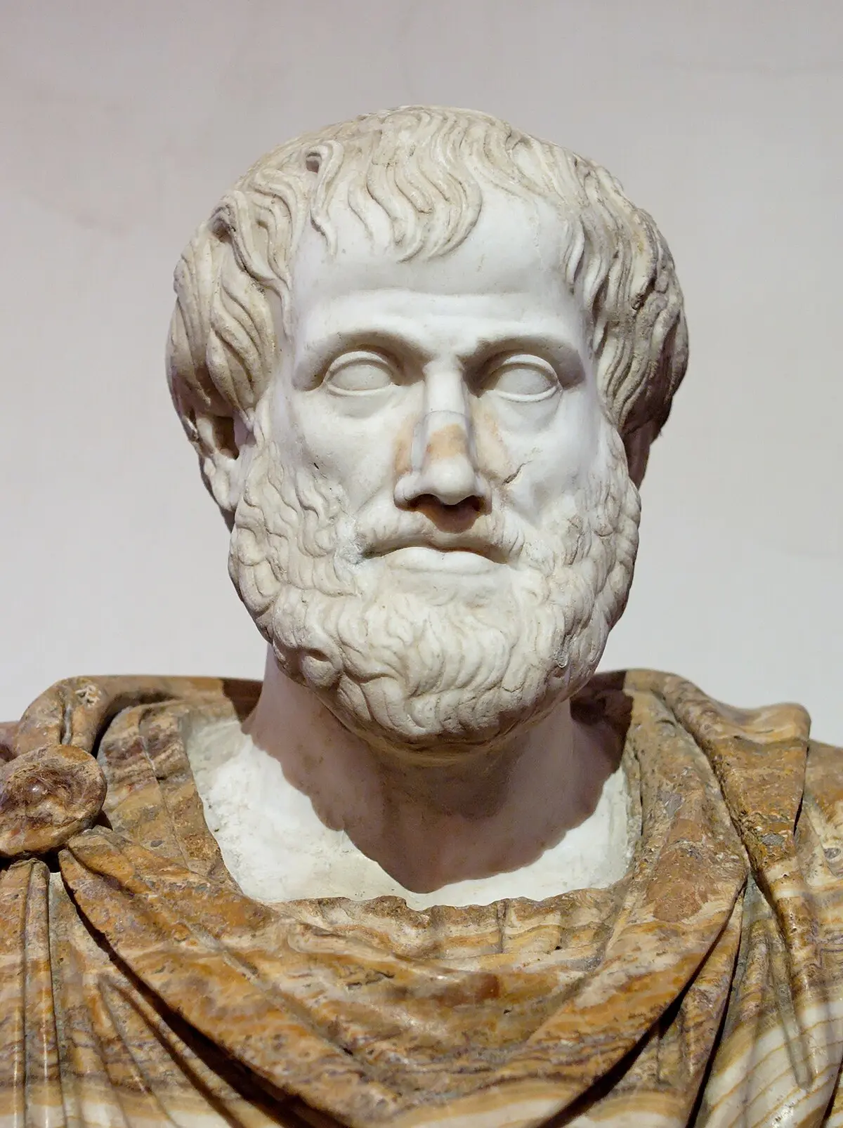 aristoteles inteligencia y memoria - Que decía Aristóteles sobre la memoria