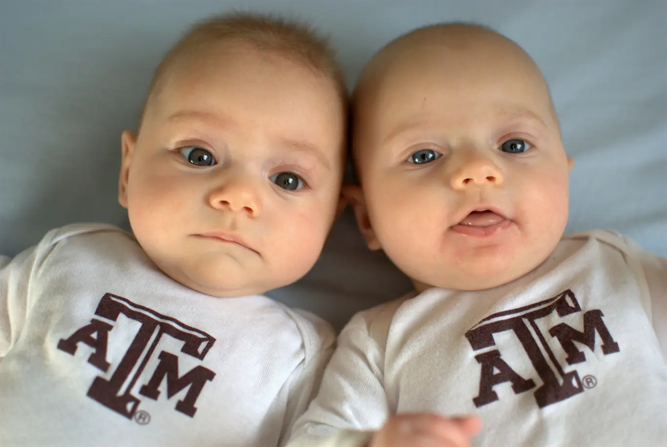 Dos gemelos idénticos tendrán igual inteligencia - Qué determina que los gemelos son iguales o distintos dos gemelos identicos tendran igual inteligencia - Qué determina que los gemelos son iguales o distintos