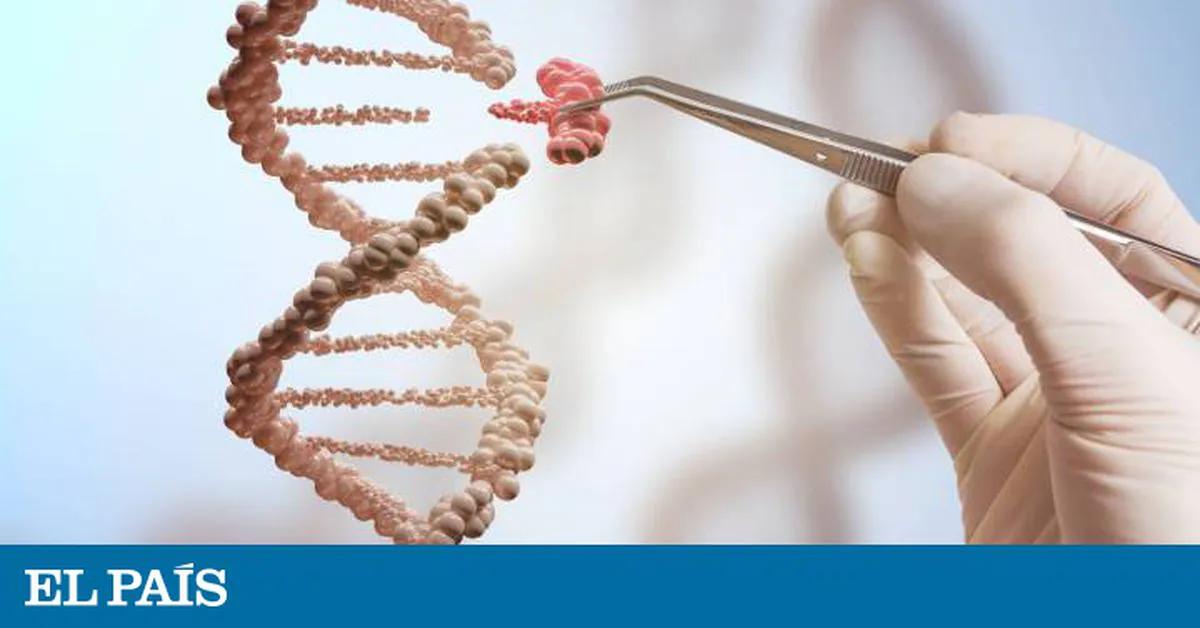 entropia evolución inteligencia humana - Qué dice la teoría de la entropía