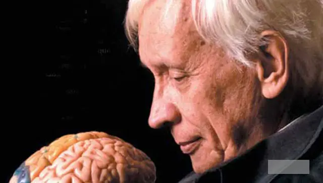 adolfo ilinas inteligencia y cerebro - Qué dice la teoria de Rodolfo Llinás