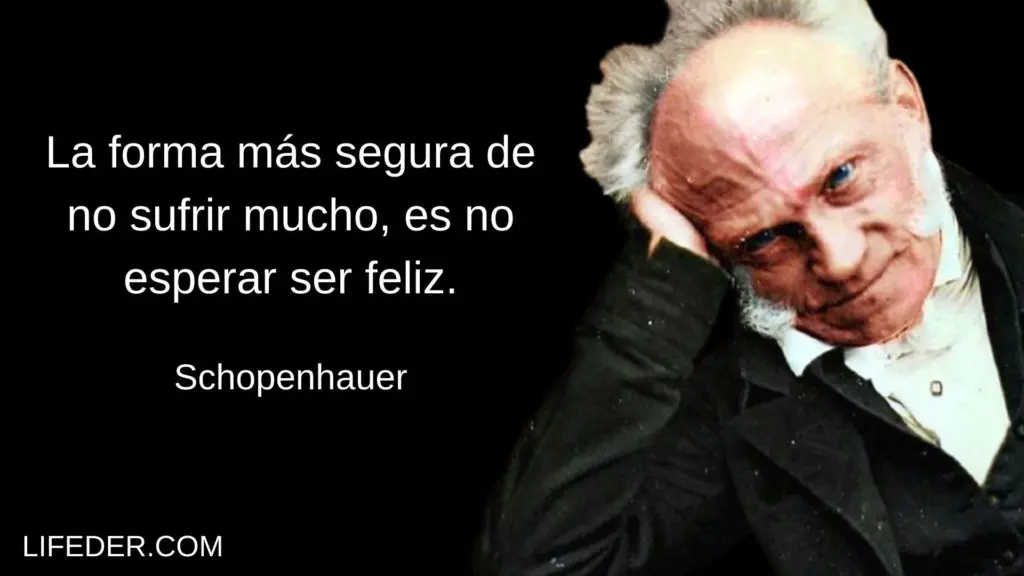 arthur schopenhauer frases hay ser inteligente para hacer daño - Qué dice Schopenhauer del sufrimiento
