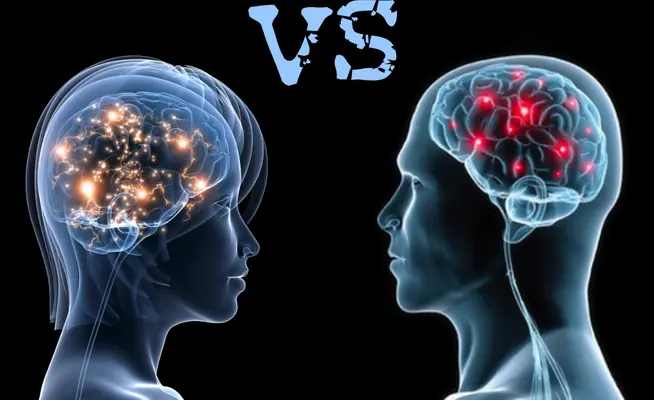 cerecbro humano y cerecbro masculino y la inteligencia emocional - Qué diferencia existen en el cerebro femenino y cerebro masculino que genera impacto en el manejo emocional
