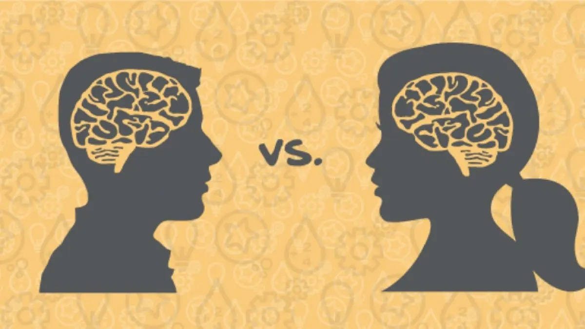 21 quién es más inteligente el hombre o la mujer - Qué diferencia hay entre el cerebro del hombre y la mujer