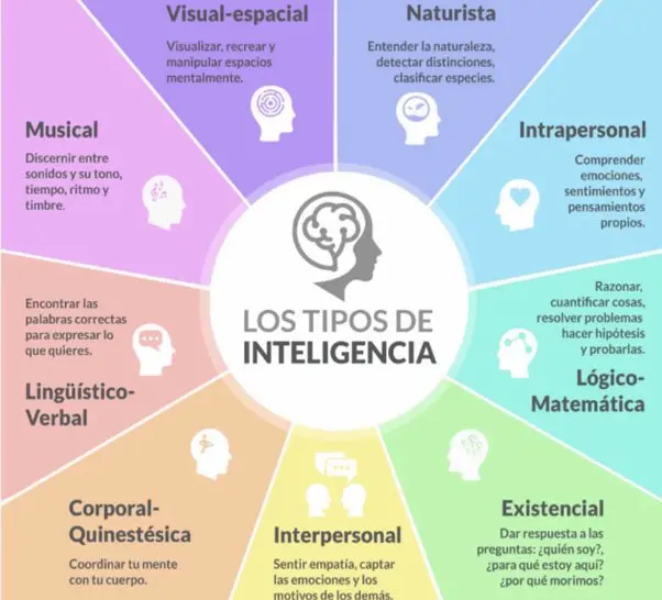filosofia inteligencia - Qué dijo Aristóteles de la inteligencia