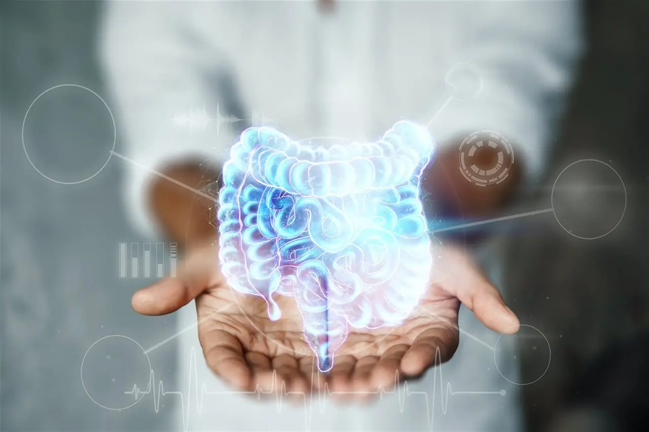 Intestino Cerebro Inteligente: La conexión entre nuestras emociones y el sistema digestivo - Qué emociones afectan el intestino intestino cérebro inteligente - Qué emociones afectan el intestino