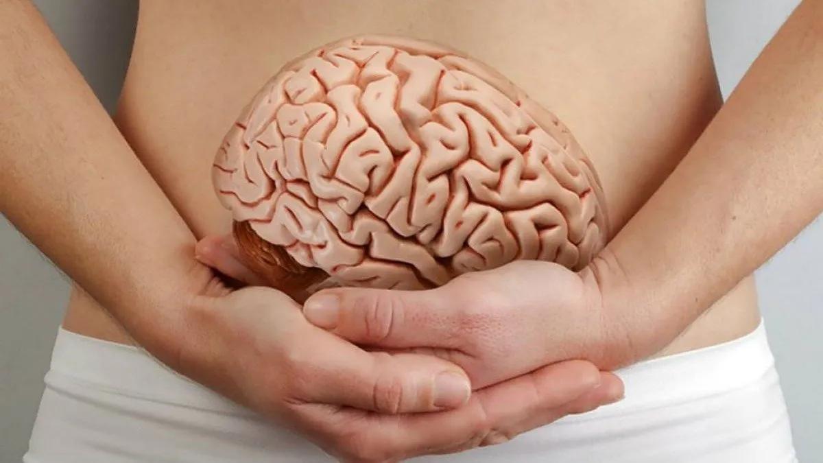 inteligencia intestinal - Qué enfermedades muestran la conexión intestino cerebro
