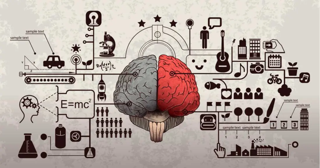 cerebro creativo e inteligente en las matematicas - Qué es creatividad matemática