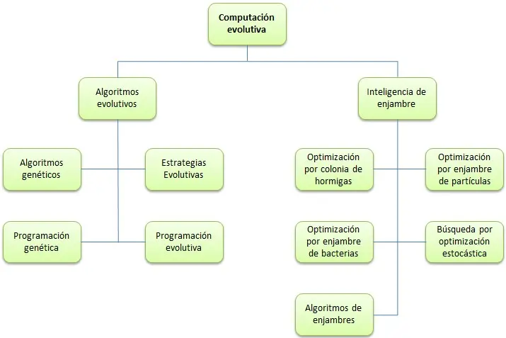 inteligencia de enjambre ejemplos - Qué es el aprendizaje de enjambre