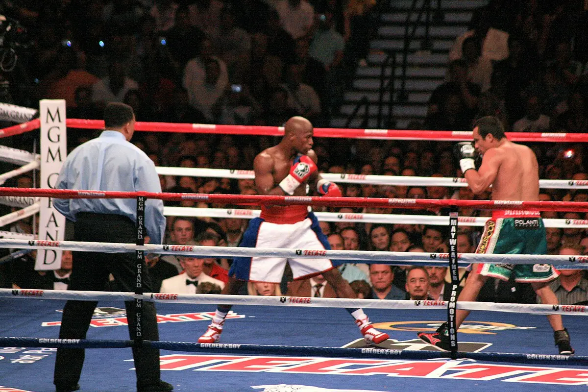 Bolsa de box inteligente: la evolución del entrenamiento - Qué es el box y para qué sirve bolsa de box inteligente - Qué es el box y para qué sirve