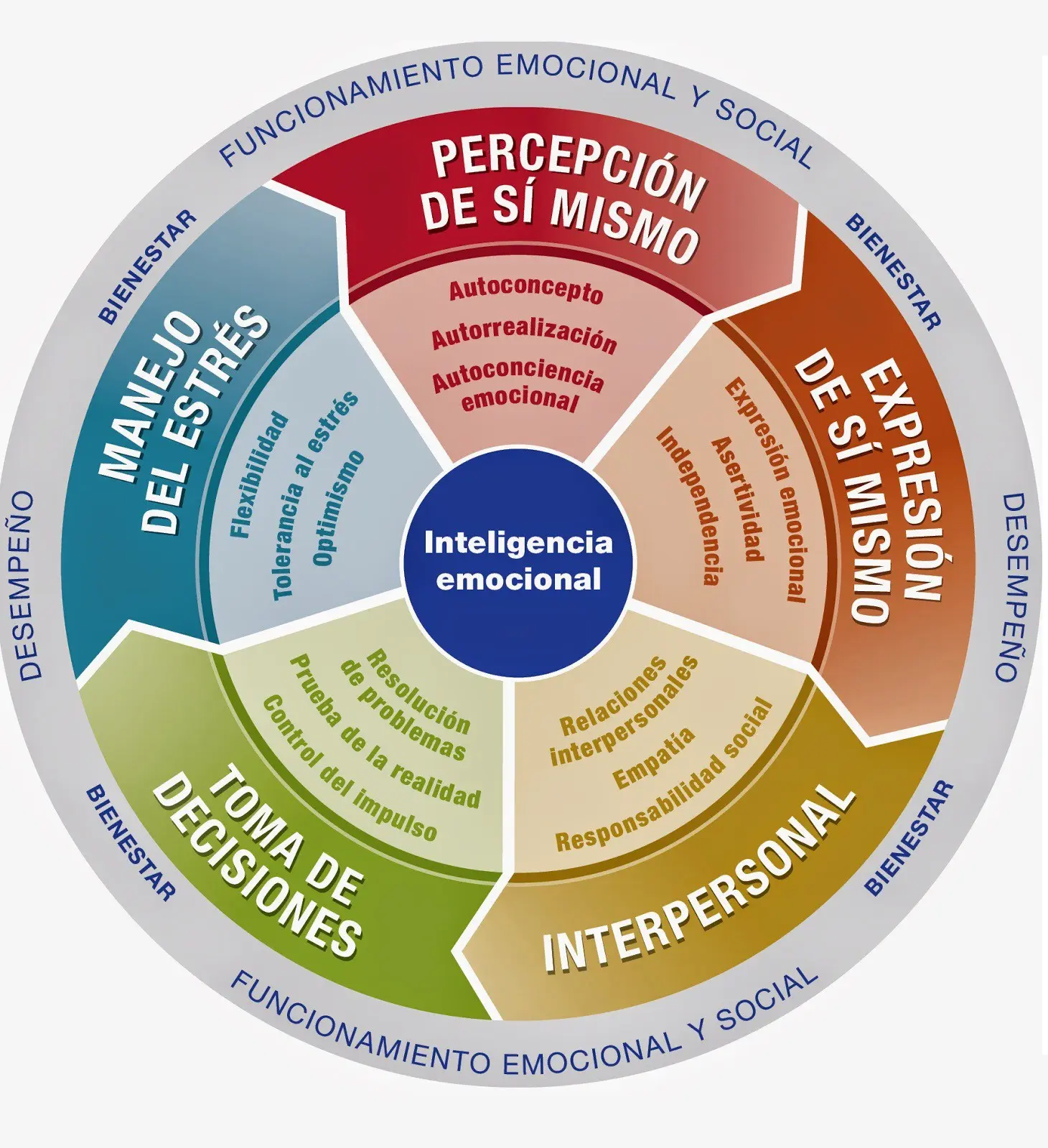 esquema de inteligencia organizacional - Qué es el esquema de organización