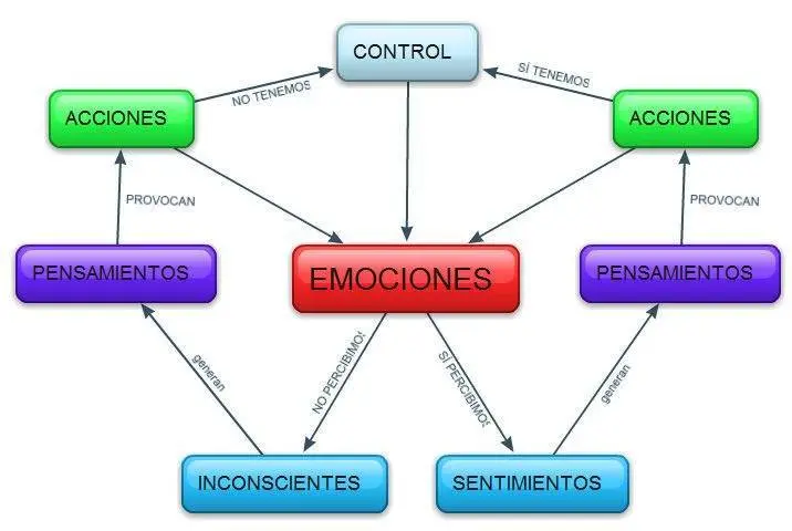 esquema de inteligencia emocional - Qué es el esquema emocional