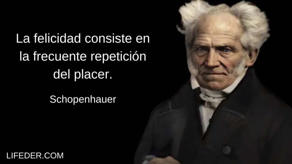 arthur schopenhauer frases hay ser inteligente para hacer daño - Qué es el mal para Schopenhauer