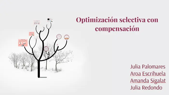 concepto de inteligencia optimizacion selectiva - Qué es el modelo de SOC