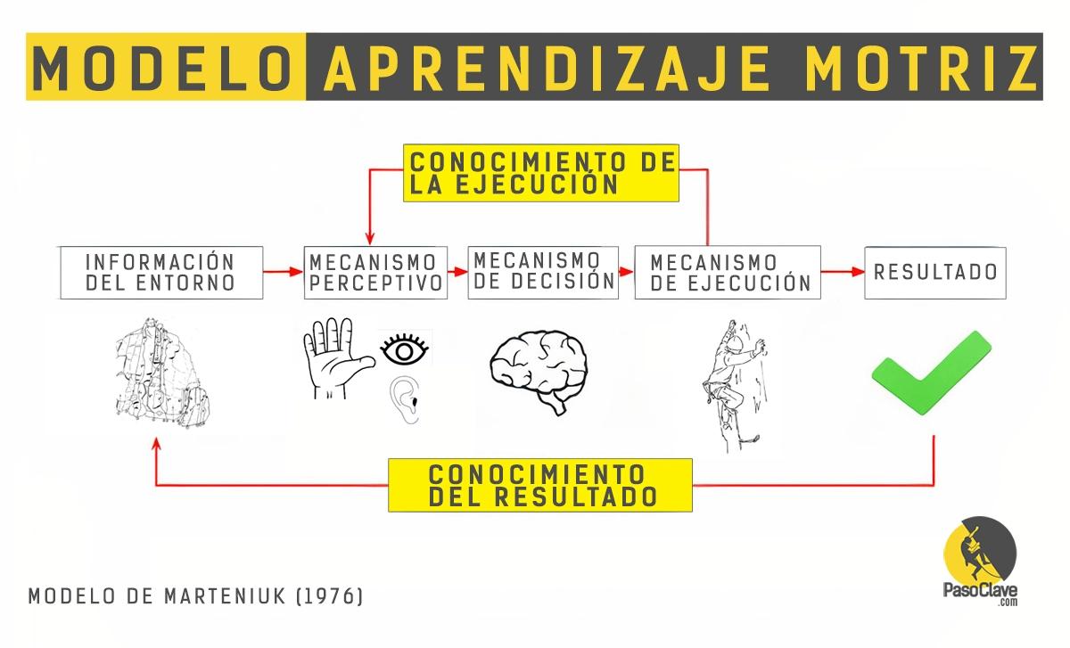 Técnica motriz de inteligencia: Analizando las correlaciones neuronales en la planificación de acciones - Qué es la acción motora tecnica motriz de inteligencia - Qué es la acción motora