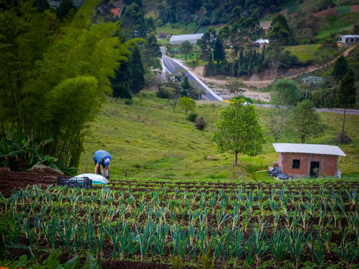 agricultura inteligente en colombia - Qué es la agricultura sostenible en Colombia