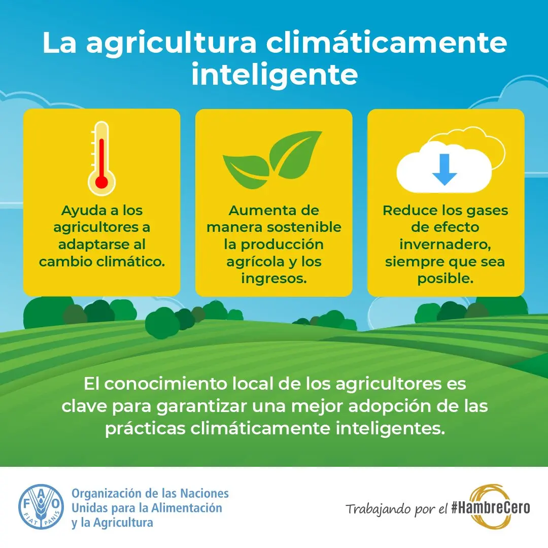 agricultura inteligente fao - Qué es la agricultura sostenible según la FAO