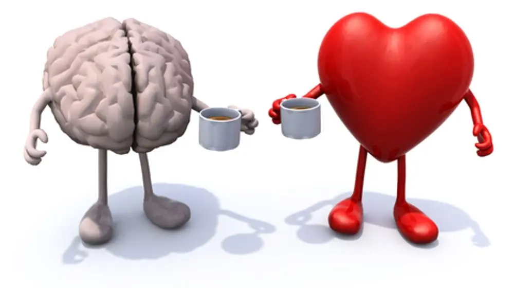 La importancia de la inteligencia emocional para un biólogo - Qué es la biologia emocional biologo inteligencia emocional - Qué es la biologia emocional