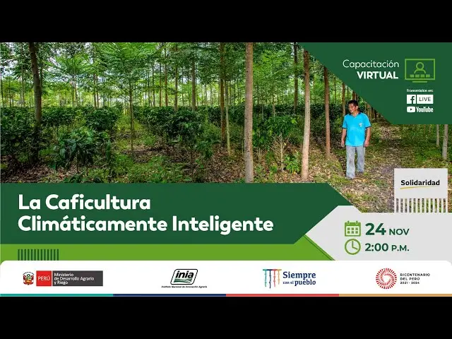 Caficultura climáticamente inteligente: una nueva forma de producir café - Qué es la caficultura caficultura climaticamente inteligente - Qué es la caficultura