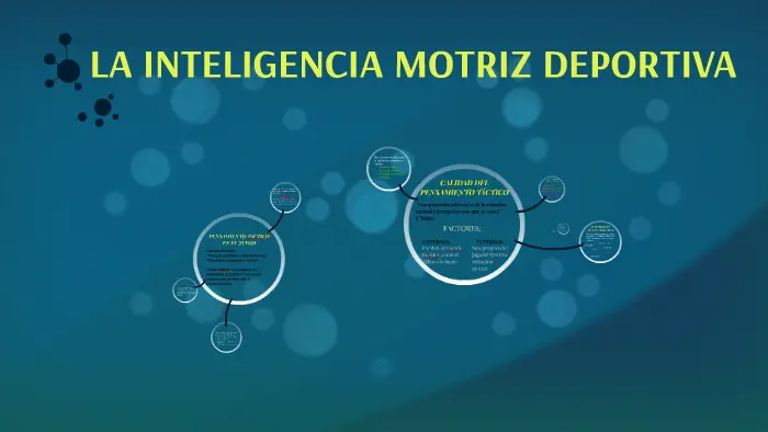 inteligencia motriz - Qué es la educación motriz