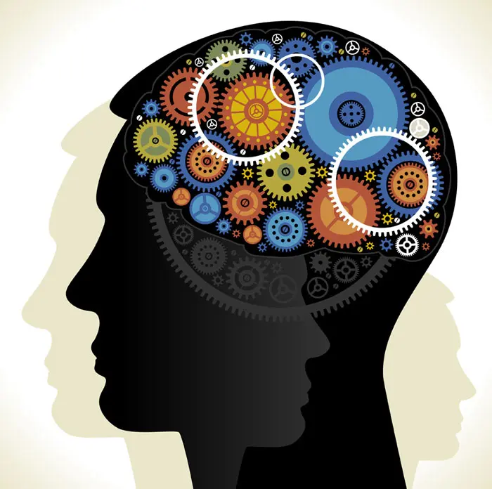 Evaluación clínica de la inteligencia: una herramienta fundamental en la psicología - Qué es la evaluación clínica del paciente evaluacion clinica de la inteligencia - Qué es la evaluación clínica del paciente