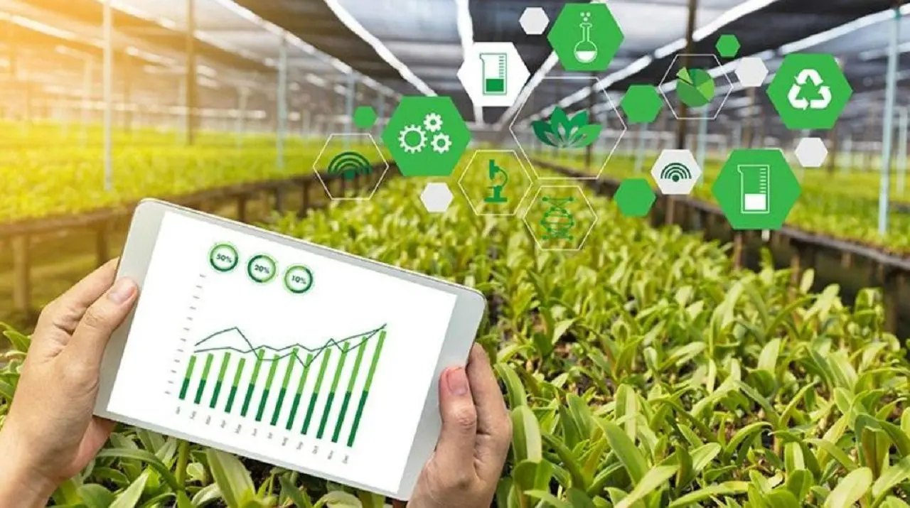 alternativas innovadoras de agricultura inteligente - Qué es la innovación tecnológica en la agricultura