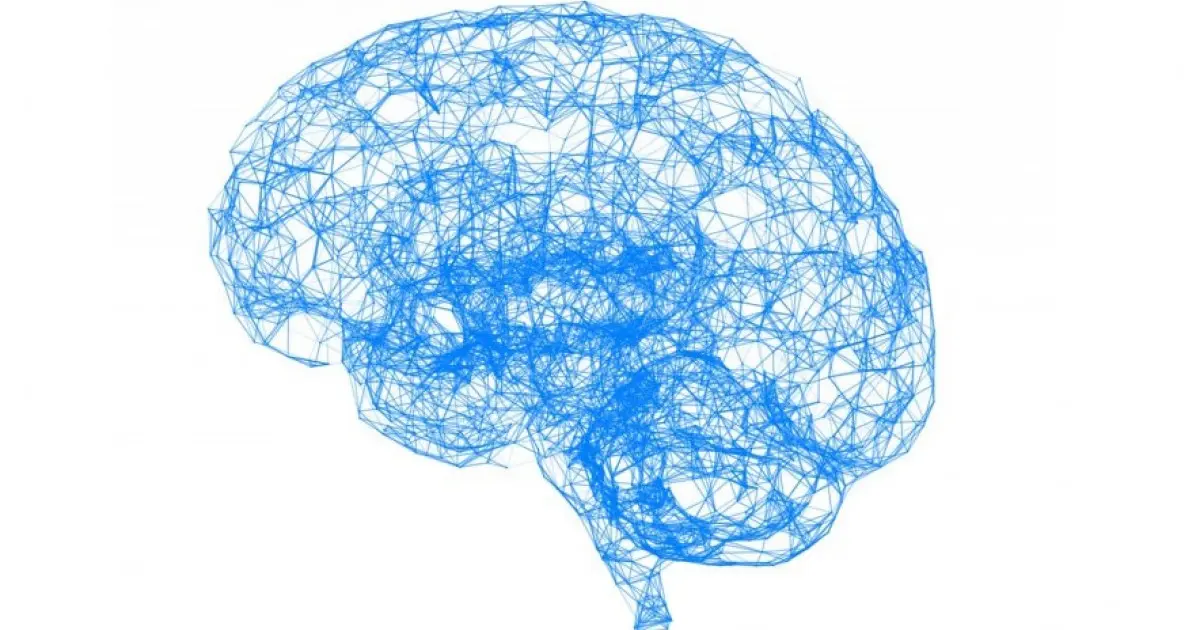 inteligencia cristalizada - Qué es la inteligencia cristalizada según Cattell