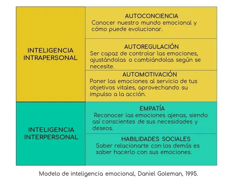 definicion de inteligencia emocional segun autores - Qué es la inteligencia emocional según Freud