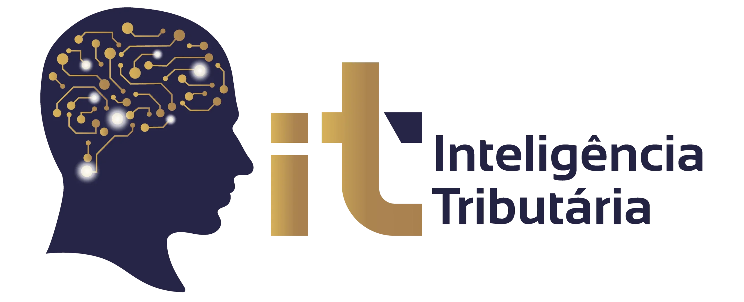 Inteligencia Tributaria: Optimizando tus conocimientos fiscales - Qué es la inteligencia fiscal inteligencia tributaria - Qué es la inteligencia fiscal