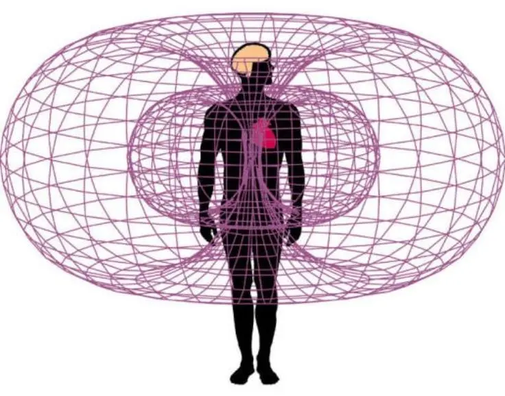 La inteligencia intuitiva del corazón - Qué es la inteligencia intuitiva la inteligencia intuitiva del corazon - Qué es la inteligencia intuitiva