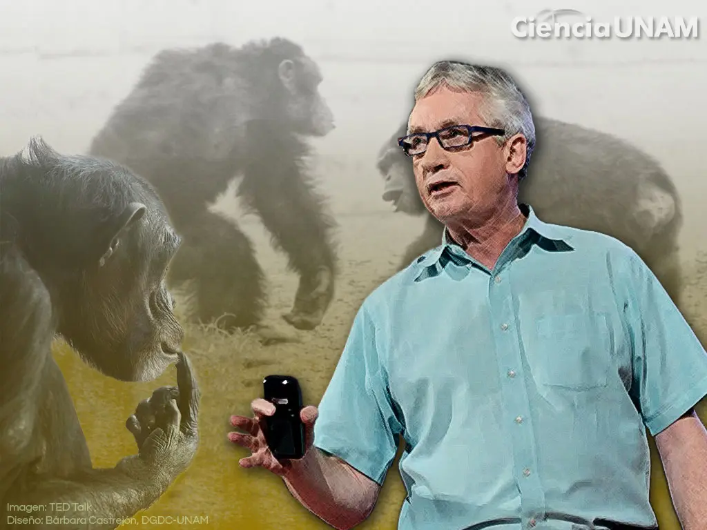 inteligencia practica en los animales superiores - Qué es la inteligencia práctica para Cassirer