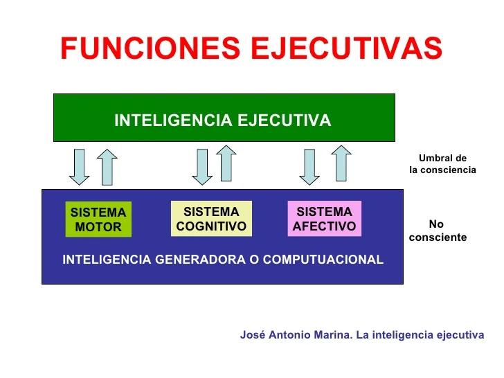 teoría triárquica de la inteligencia de sternberg - Qué es la inteligencia práctica según Robert Sternberg