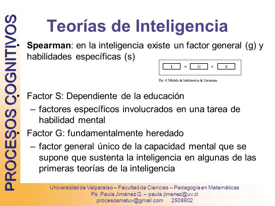 factor s de la inteligencia - Qué es la teoría de factorial de la inteligencia