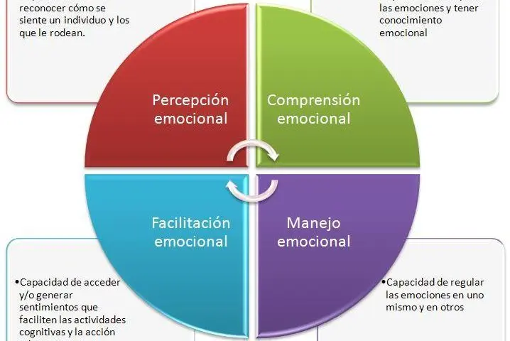 definicion de inteligencia emocional segun salovey y mayer - Qué es la teoría de la inteligencia emocional de Caruso y Salovey